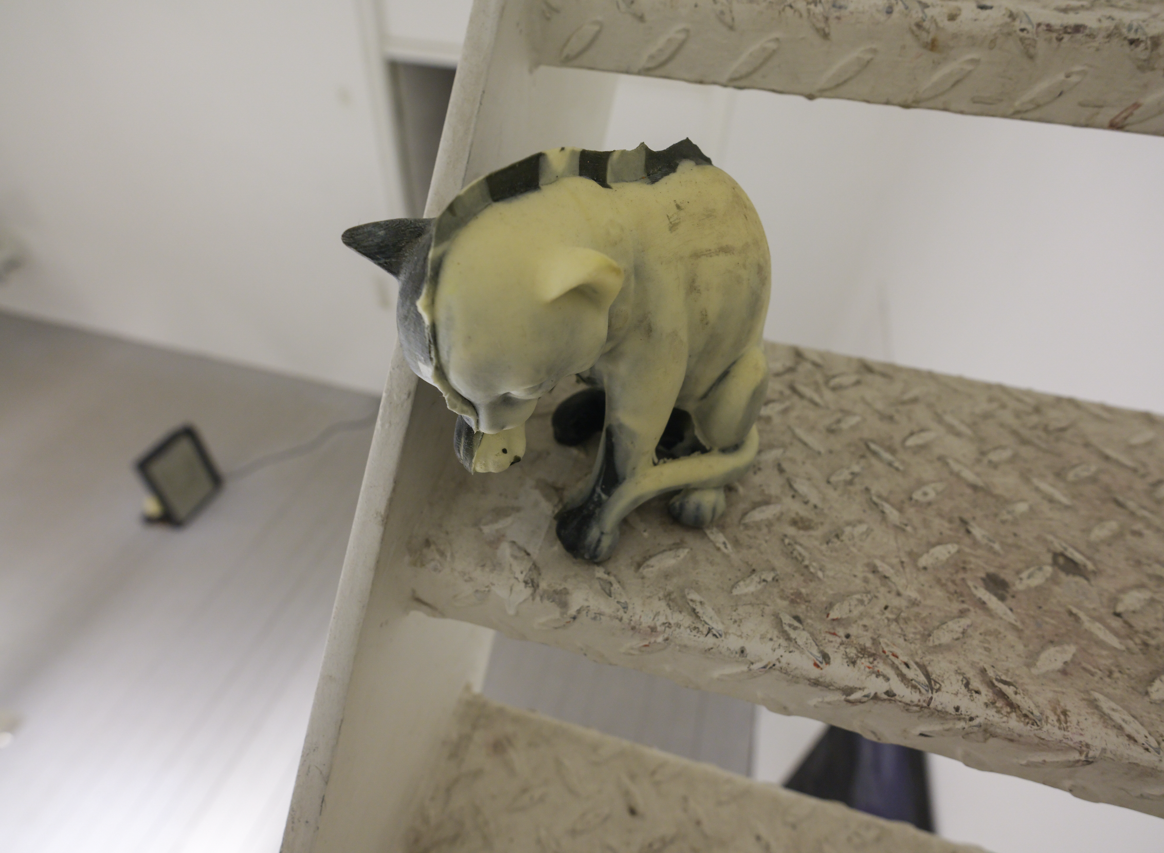 Cat cover, 2025